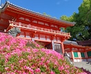 京都の四季の写真を提供します 京都の癒される四季折々の写真を！ イメージ3