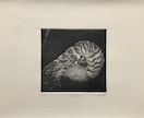 リアルでかわいい動物の絵を描きます 表紙、挿絵などに動物の絵が欲しい方必見！マニアックな動物も！ イメージ8