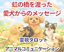 虹の橋を渡った愛犬の想いをタロットで鑑定します ペットロスに寄り添いお空のワンちゃんからのメッセージをお届け イメージ1