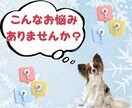 ゼロから商品が売れるようになるコンサルやります はじめての商品販売を成功に導くサポート イメージ2