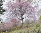 子育て、親子関係のモヤモヤ、一緒に考えます 親子の悩み、それは自分が成長するプロセスかも。 イメージ1