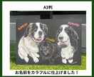 消えないチョークアートで動物似顔絵リアルに描きます 大切な家族を世界に一つのオリジナルボードで残しませんか？ イメージ4