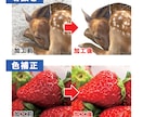 写真加工、背景切り抜き承ります 大変な写真加工のお手伝いをさせてください！ イメージ2