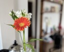 離婚？再構築？夫婦の問題を占います 本当にこのままでいい？心を整理して一緒に解決していきましょう イメージ4