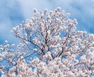 あなたの夢、野望を教えて下さい。全部お聞きします 人に言うのは恥ずかしいでも言いたい！そんなあなたを応援します イメージ7