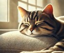 ペットロス 虹の橋を渡ってしまった悲しみを聞きます ― 4匹の猫を見送り、今も20歳の猫と暮らす私が ― イメージ1