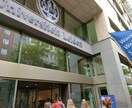 経験者がオランダ留学や移住の相談なんでも乗ります エージェントなしで学部留学・3年の在住経験から教えます！ イメージ2