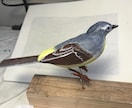 バードカービング します 小鳥やお気に入りの野鳥を木で彫ります イメージ9