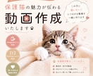保護猫ちゃんの里親募集動画をお作りします その子の魅力と依頼主さんの想いを動画につめこみます イメージ1