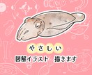 やさしい図解描きます 資料や説明文をよりわかりやすく イメージ1