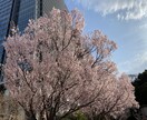 女性限定☆結婚相談所ってどうだった?お答えします 本気で結婚したい!短期決戦で決めたい!ヒントになれば幸いです イメージ3