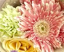 霊感×姓名判断でご縁と相性を丁寧に鑑定します 片思い・交際・夫婦の不安に名前が教えてくれる答えがあります イメージ1