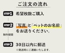 お家の猫ちゃんわんちゃん鉛筆で描きます 【現在170枚】原画＋画像データお届け！ イメージ3