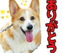 写真でLINEスタンプ、40個3000円で作ります 【最低価格】何個発注いただいても、3000円だけ！ イメージ1