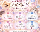 愛犬・愛猫の本音と想いを読み解きます 「うちに来て幸せ？」言葉にならない気持ちを丁寧にお届け イメージ2