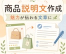 商品の魅力が伝わる説明文を作成します 商品情報をいただくだけで、読みやすい紹介文に整えます イメージ1