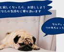 誰かと話したいあなたへ☆お話し相手になります 気軽に話そう！あなたのおしゃべり相手になります(*^^*) イメージ1