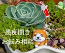 あなたの話したいを聞きます あなたの心に寄り添います(*^^*) イメージ1