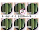 野菜の魅力が伝わるイラストやPOP作成いたします 店頭やSNSで野菜販売する農家さんを応援！米農家が描きます！ イメージ4