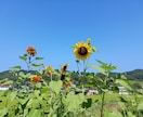 現役英語講師が、やさしく英語のお悩みを解決します 初心者でも安心！コミュニケーション能力の上がる英会話レッスン イメージ1