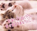 人生の苦悩を熟知したカウンセラーが痛みを受止めます /心に寄り添う「掛け替えのない大切な貴方」だけの命の電話相談 イメージ5