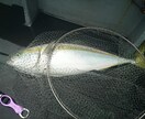 伊勢湾・御前崎・焼津での遊漁船釣り、教えます 遊漁船釣りを始めたい方をサポートします イメージ5