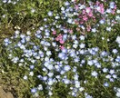 なんでも聞きます 愚痴、悩み、相談、世間話、なんでもいいですよ イメージ7