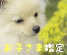 四柱推命お子さま鑑定⭐子育てが楽になります お子さまの本質を知り、今日から出来る関わり方をお伝えします イメージ1