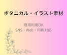 ボタニカル葉っぱ線画素材30点作成します SNSや投稿デザインに使えるボタニカル素材 イメージ1