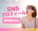 SNSプロフィールを作成します プロフィール・固定投稿をまとめて作成します イメージ1