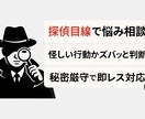 現役探偵目線で恋愛・人間関係の悩み、聞きます 恋愛相談・浮気・人間関係のモヤモヤをスッキリ整理します イメージ1