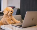ホームページ作成・修正他ご相談ください。承ります 小さなことから、ご相談に乗ります。 イメージ1