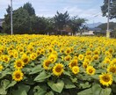 仕事での悩みを自分で切り抜ける改革を教えます 仕事でパワハラを受けて悩んでいる方や対人関係に悩む方 イメージ1