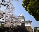 東京・神奈川の撮影承ります スマホで撮るより。。だけどカメラは持ってないそんなあなたに！ イメージ5