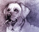温かみのある鉛筆画でペットさんの絵をお届けします いろいろな動物描けます！記念やプレゼント用に イメージ9