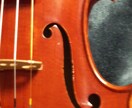 〈初級者向け〉バイオリン購入の疑問や心配事にお答えします イメージ1