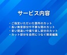 不要部分をカットして見やすい動画に整えます ✅お得✅丁寧✅迅速　期待以上のサービスを提供します イメージ2