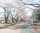 蔵王霊園のお墓参りお掃除代行させて頂きます 真心を込めてお墓参りと清掃させて頂きます イメージ1