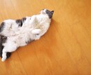 精神科ナースが電話であなたの心を癒します 少しだけ話したい…悩み相談/世間話/恋愛も♡ イメージ3