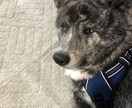 1型糖尿病歴35年の中卒社長が持病のお話聞きます 小学5年生の時に発症して多感な少年時代は大変な苦労しました イメージ9