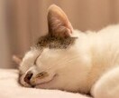 悩み、恋バナ、愚痴、暇つぶし話し相手になります 日常の楽しいこと悲しいこと自慢悩み何でもお話ください♡ イメージ3