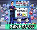 ebay輸出超スポットコンサル！問題点を解決します 現役トップセラーがあなたの悩みをサクッと解決します！ イメージ1