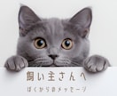 ペットからあなたへ…心のメッセージ伝えます |涙の先にある温もり　あの子が伝えたかったこと イメージ7