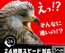 急な締め切りに困っている方専門のLP製作代行します 最短翌日納品！LP構成/ライティング/デザイン丸投げでOK イメージ1