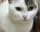 シンママ！きなまろ愚痴やお悩み相談等お話聞きます ♪♪1人で抱え込まずにお話してくださいね。 イメージ4
