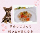 愛犬の声を聞いた手作りごはんをお伝えします 手作り初心者さんでも簡単にできる栄養満点レシピ イメージ1