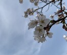 ちょっとしたことに使いたい風景写真編集します SNSやスマホの壁紙などに使う写真を鮮やかに！！ イメージ3