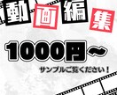 YouTubeshortsなどの動画編集承ります 1分以内の動画を一本1000円から！ イメージ1