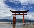 今の職場から転職すべき？残るべき？か占います 本当にこのままでいいのか？しっかり鑑定します イメージ7