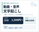 動画・音声を読みやすく文字起こしします 20分1,500円｜原稿も字幕データも納品 イメージ1